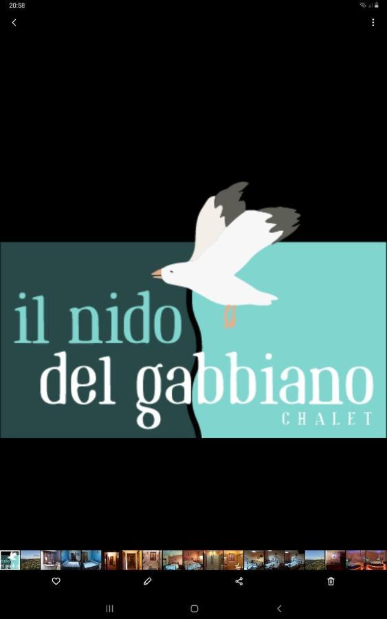 Il Nido del Gabbiano - Riviera Adriatica Villa Martinsicuro Esterno foto